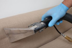Carpet and Upholstery Cleaning Charlotte