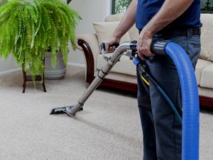 Carpet and Tile Cleaning Charlotte