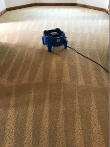 Carpet Cleaning Charlotte - LAVTY Cleaning Services