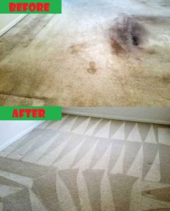 San Diego carpet cleaning