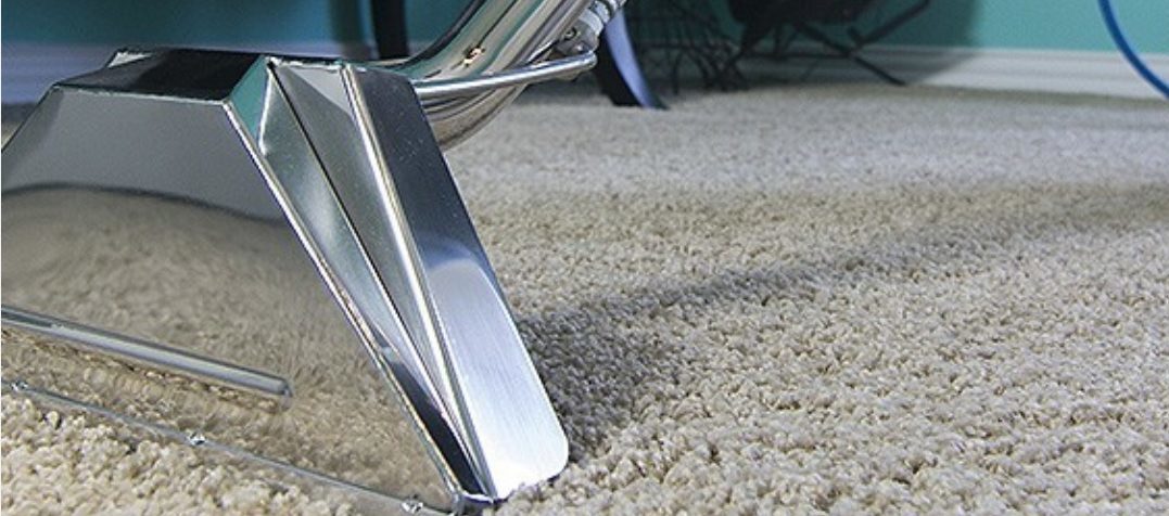Lavty Cleaning – Charlotte Carpet, Hardwood, Tile, Upholstery Cleaning