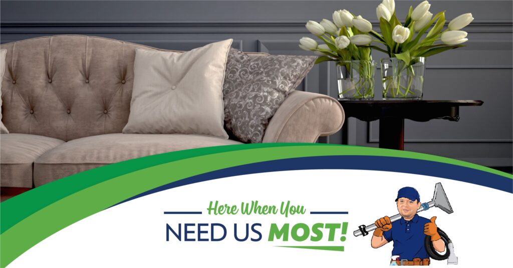 upholstery cleaning charlotte