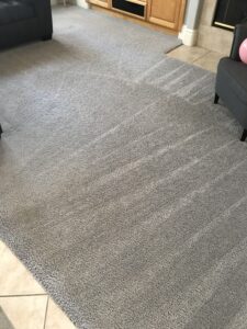 Charlotte carpet cleaning