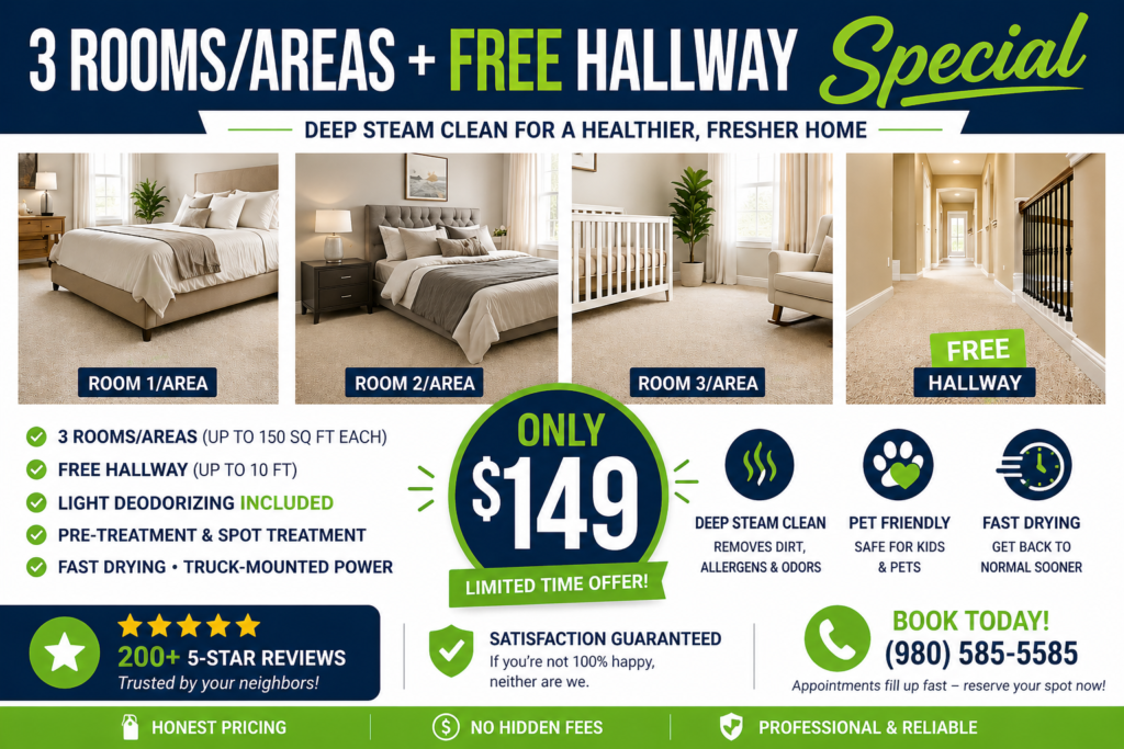 LAVTY Cleaning Services - Charlotte Carpet, Hardwood, Upholstery, Area Rugs and Tile Cleaning Services