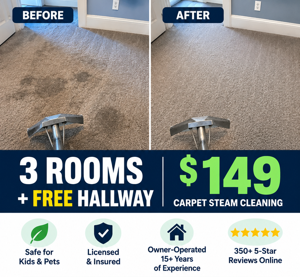 carpet steam cleaning special